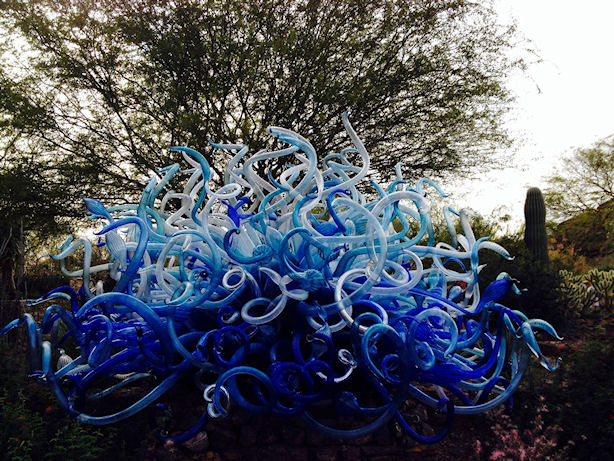 Desert Botanical Gardens Luminarias, Chihuly Exhibit, AZ by Sophia Ewing
